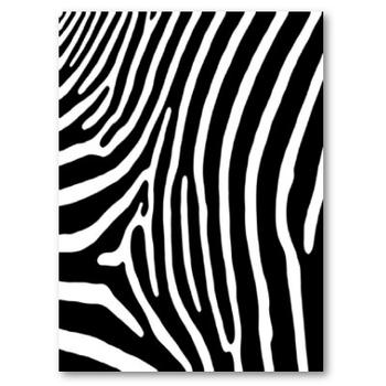 Are zebras black with white stripes or white with black stripes ...