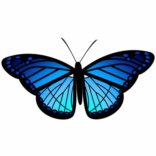 Blue butterfly magnet | Zazzle - ClipArt Best - ClipArt Best