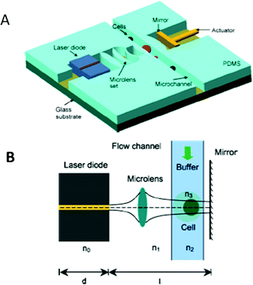 Optofluidic detection for cellular phenotyping - Lab on a Chip ...