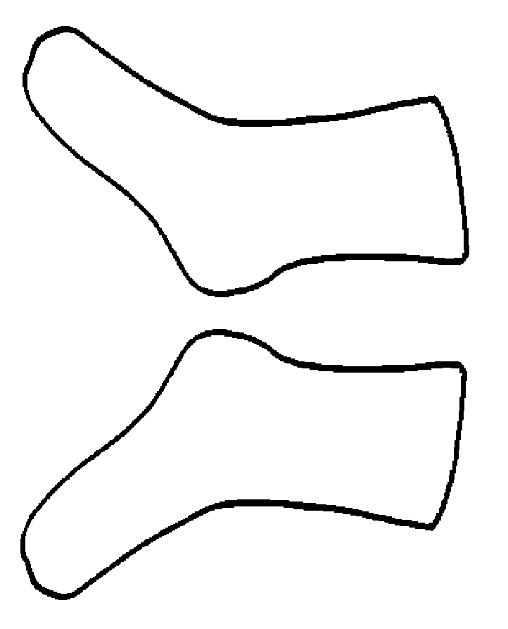 Blank Sock Template