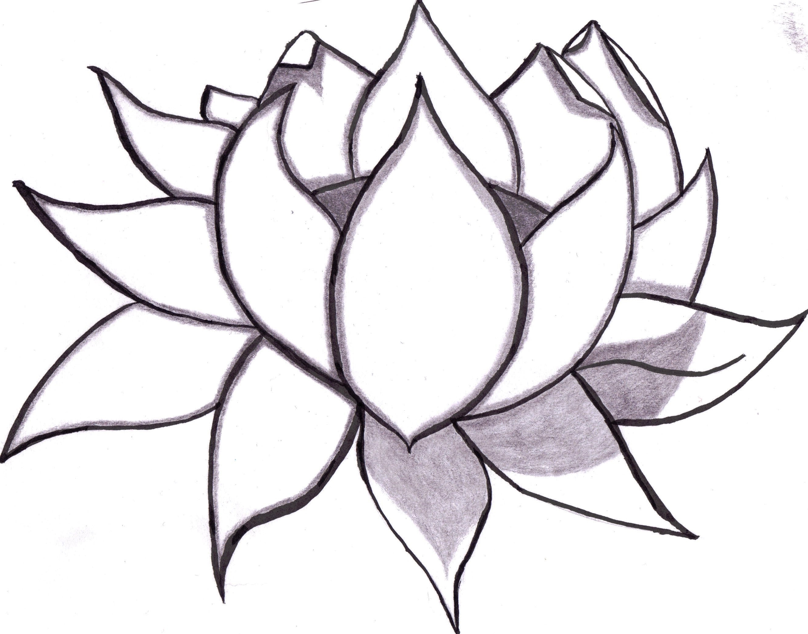 Flowers Images Drawing Easy ~ Drawing Flowers For Beginners | Bodieswasuek
