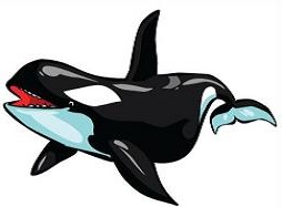 Free Orca Clipart - ClipArt Best - ClipArt Best