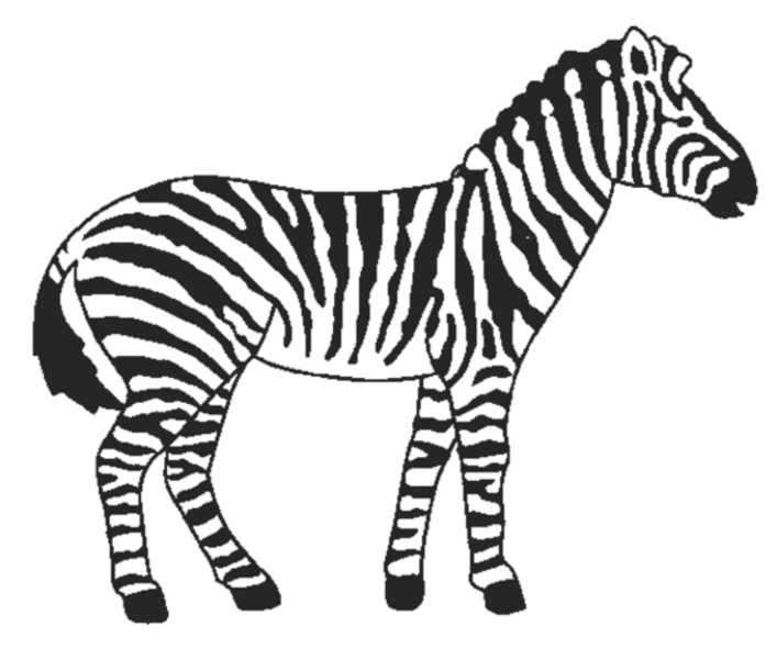 Zebras Drawing - ClipArt Best