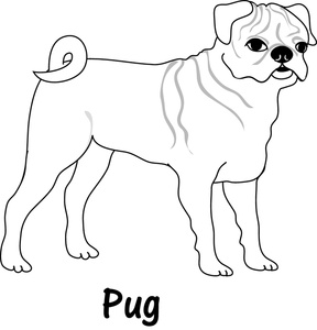 Pug Black And White Coloring Pages 4