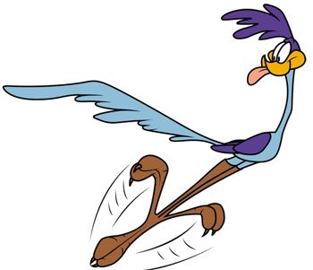 Roadrunner Running Cartoon - ClipArt Best