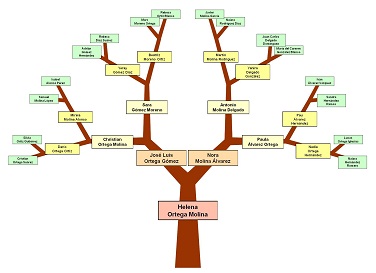 Family Tree Sample - ClipArt Best