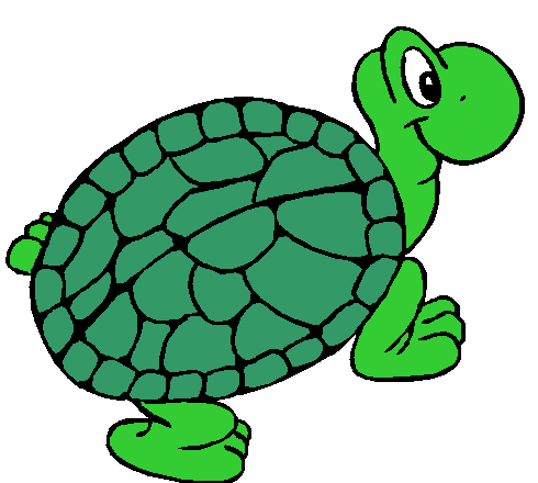 Pictures Of Cartoon Turtles - ClipArt Best
