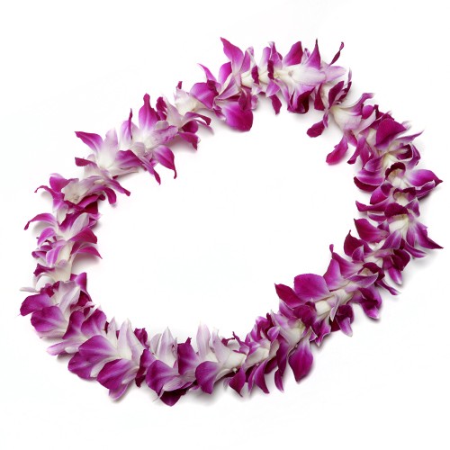 Pictures Of Hawaiian Leis - ClipArt Best