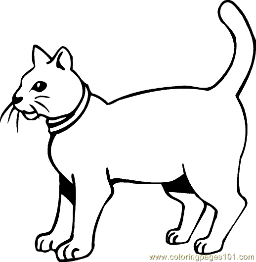 Wildcat Coloring Pages - ClipArt Best