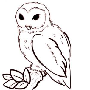 Owl Face Drawing - ClipArt Best