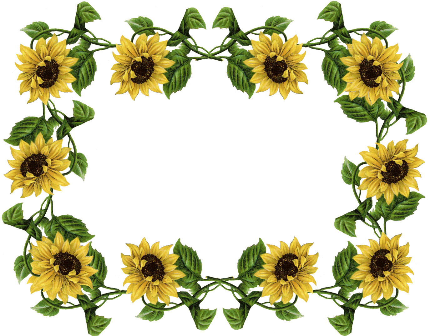 Printable Sunflower Border - Printable World Holiday