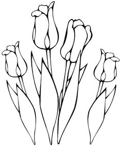 Tulip Line Drawing - ClipArt Best