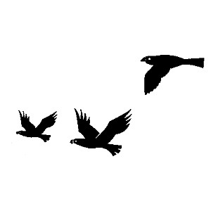 Clip-Art Silhouettes: Bird Flying | Watersheds | US EPA - Polyvore ...