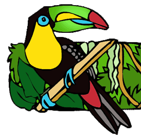 Clip Art Rainforest Birds Clipart - ClipArt Best - ClipArt Best