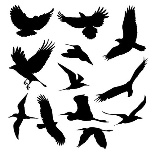 Drawing Pics Of Flying Birds - ClipArt Best