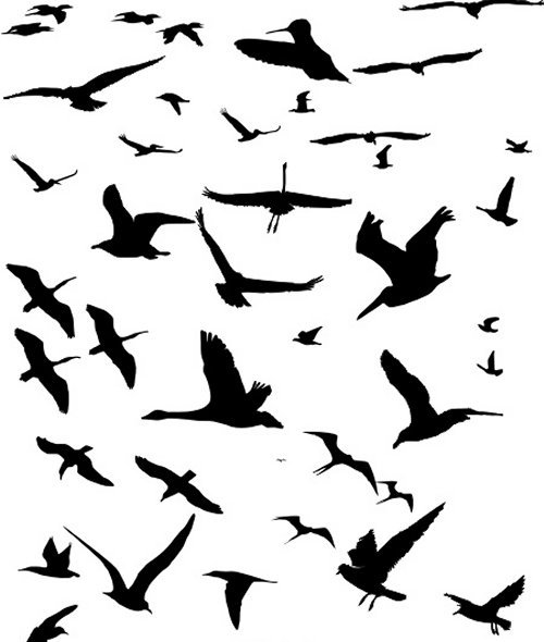 Birds Outline - ClipArt Best - ClipArt Best