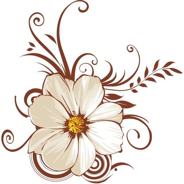 1000+ images about Flower drawings | Jasmine, How to ... - ClipArt Best ...