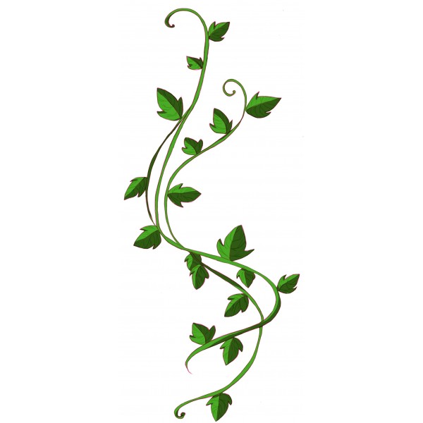 Aka Ivy Leaf Clipart