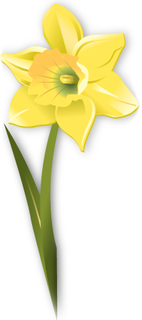 Daffodil Image - ClipArt Best