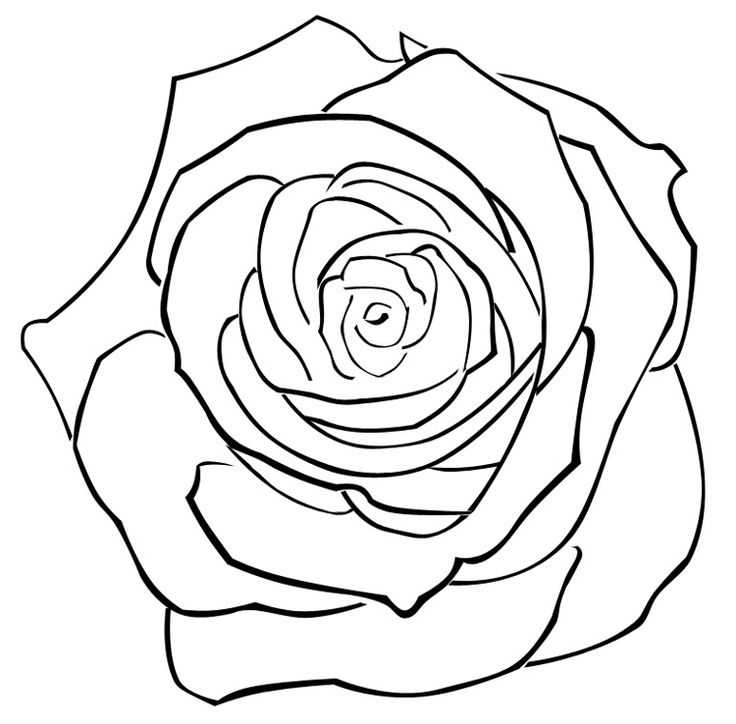 How To Draw A Bunch Of Roses - ClipArt Best