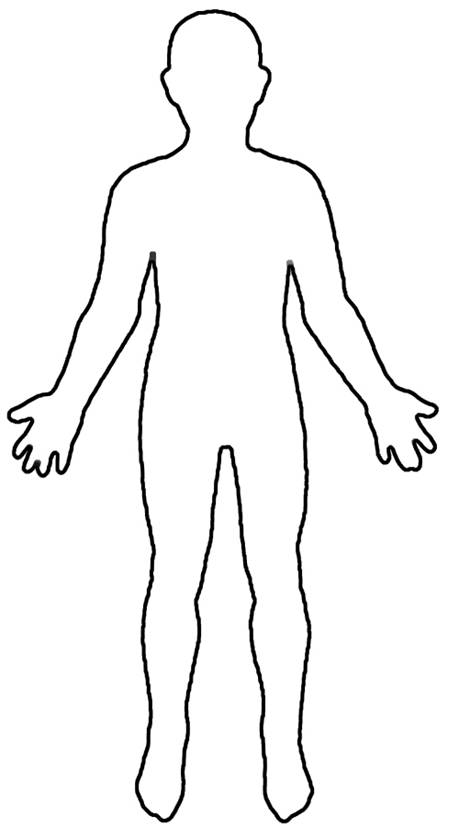 Human Body Outline Drawing - ClipArt Best