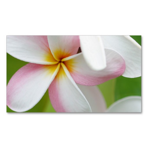Plumeria Frangipani Hawaii Flower Customized Blank Business Card ...