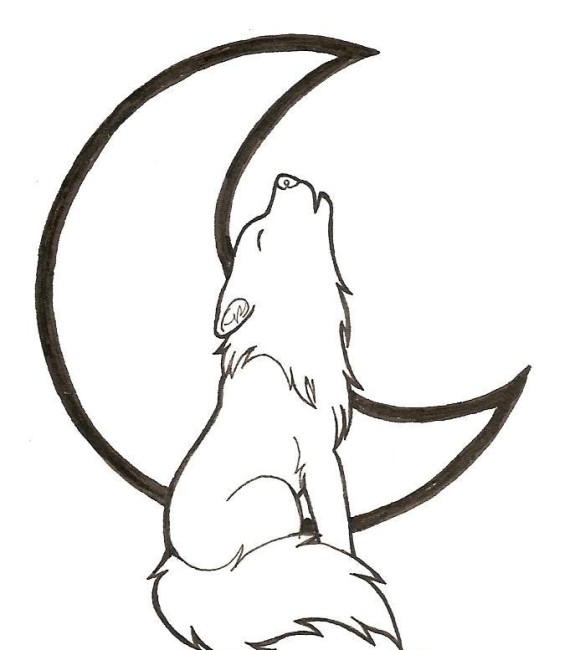 Simple Wolf Drawings
