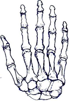 Skeleton Hand Drawing - ClipArt Best