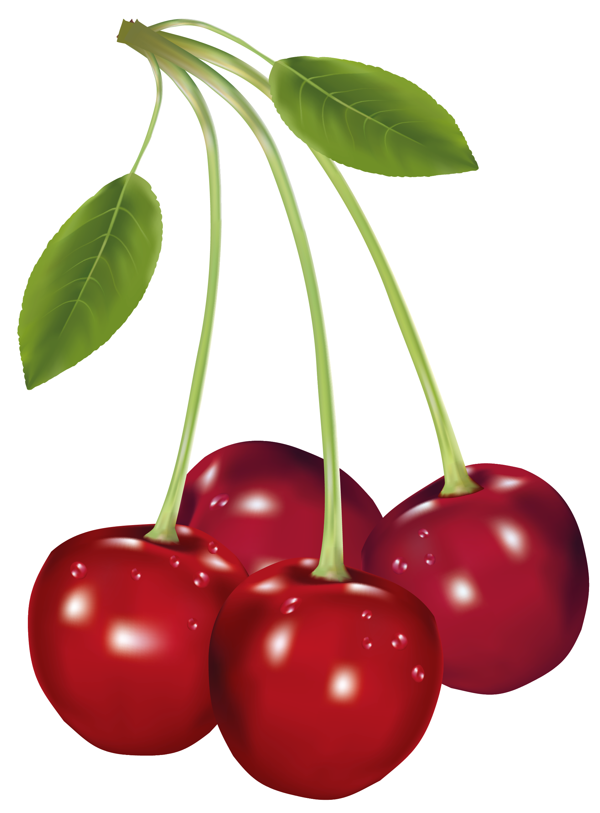Cherries Png Clipart Clip Art Free Clip Art Png | Images and Photos finder