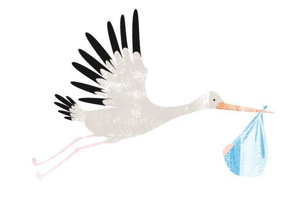 Stork Illustration - ClipArt Best