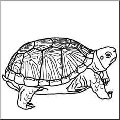 Frogs and Turtles - ClipArt Best - ClipArt Best