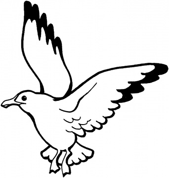 Seagull Clipart Black And White - ClipArt Best