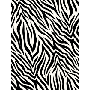 Zebra Print-B / Free wallpapers, backgrounds - Polyvore - ClipArt Best ...