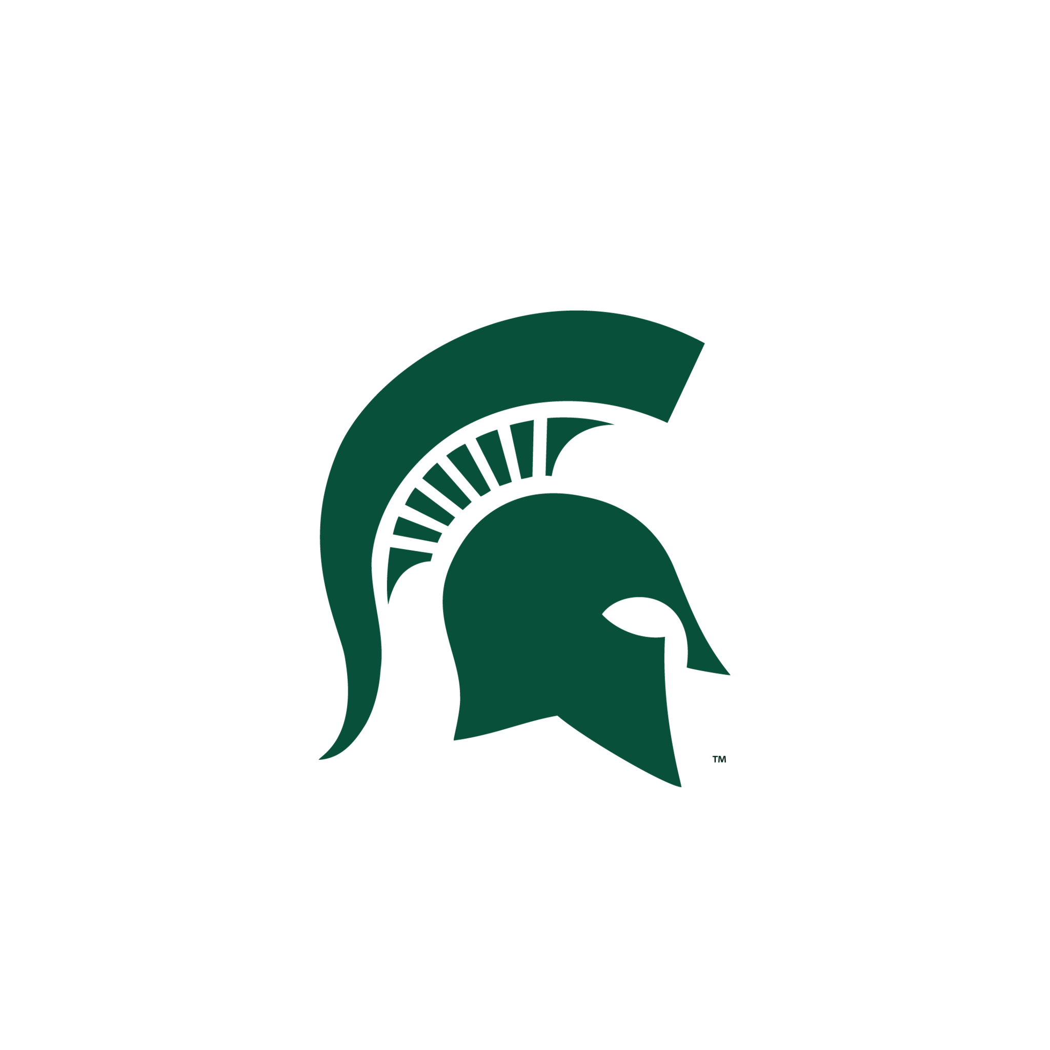 1000+ images about Michigan state | Logos, Models and ...