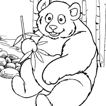 Giant Panda Coloring Page - Bear Coloring Pages : iKids Page ...