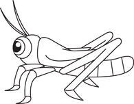 Cricket Insect Clipart Black And White - ClipArt Best - ClipArt Best