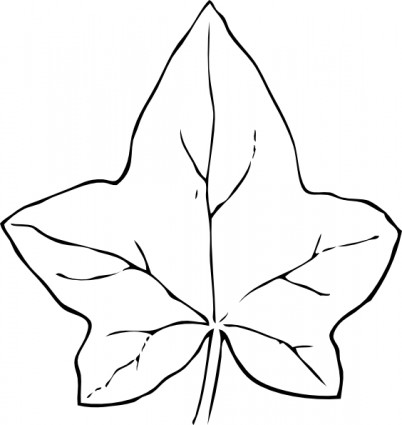 Ivy Leaf Template - ClipArt Best