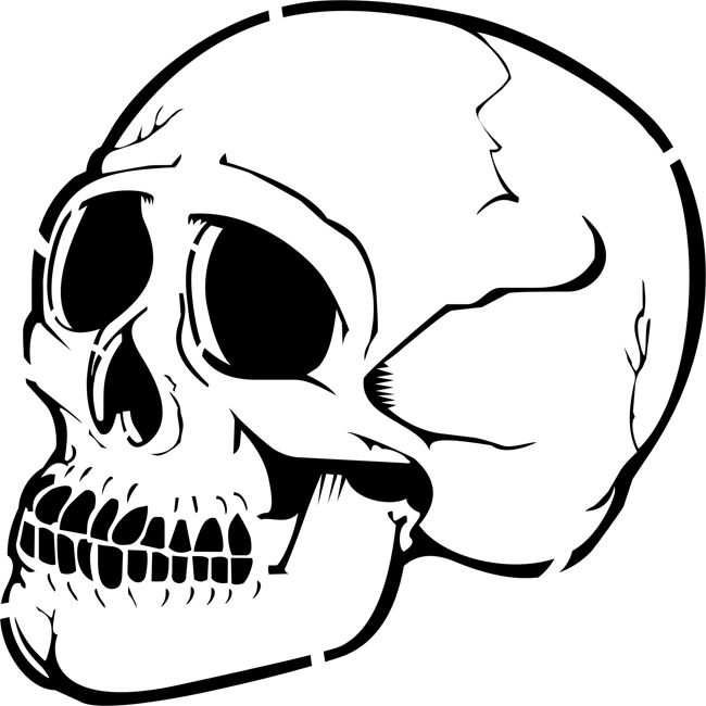 Human Skull Profile - ClipArt Best