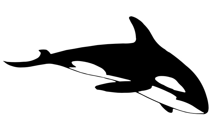 Orca Bilder - ClipArt Best