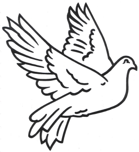 Dove Drawing - ClipArt Best - ClipArt Best