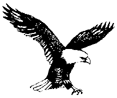Bald Eagle Clipart Black And White - ClipArt Best