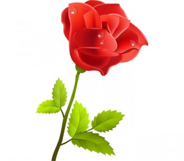 Red Rose – Spring Flowers – Over millions vectors, stock photos ...