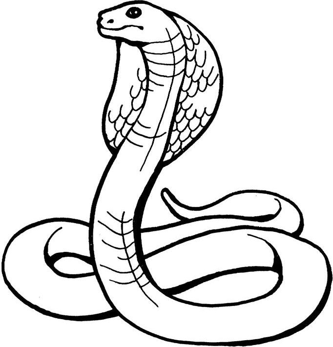 蛇的简笔画恐怖可爱图片
