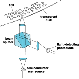 Label The Parts Of A Compound Light Microscope - ClipArt Best