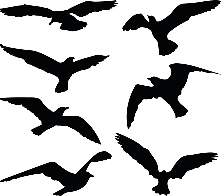 Clip Art Of A Seagull Flying Clip Art, Vector Images ... - ClipArt Best ...