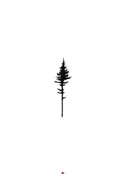 Redwood Tree Illustration - ClipArt Best