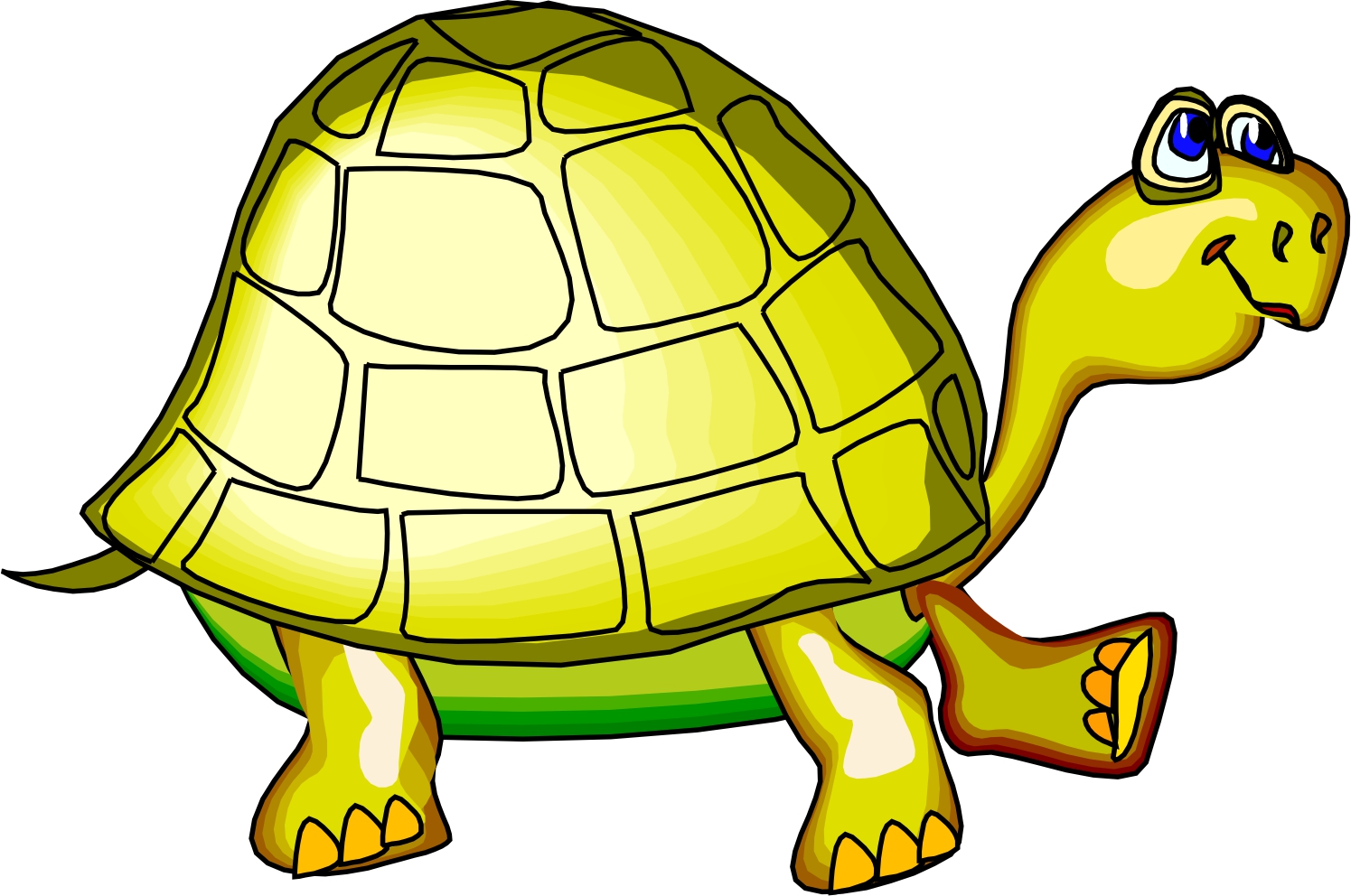 Turtles Cartoon Pictures - ClipArt Best