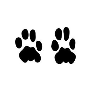 Leopard Animal Tracks Stencil - 10 inch (at longest ... - ClipArt Best ...
