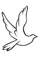 Pentecost White Dove Cartoon Version - ClipArt Best